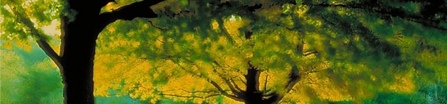 Madalya – Plaket – Minyatür Heykel – Rozet – Kupa – Anahtarlık İmalatı İstanbul Rotating Header Image