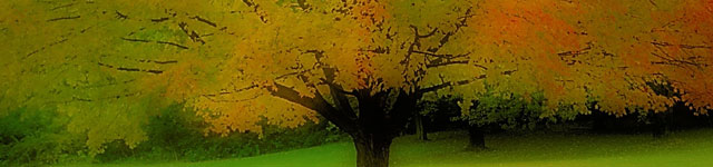 Madalya – Plaket – Minyatür Heykel – Rozet – Kupa – Anahtarlık İmalatı İstanbul Rotating Header Image